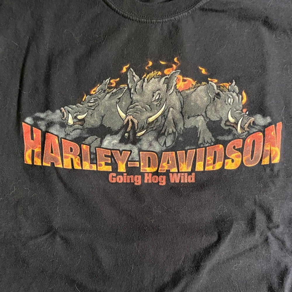 Harley-Davidson Men’s Tee with Fiery Hog Design - Laurel, MD